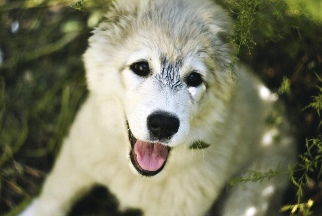 小学生ママが脱毛を始めるのはいつからがベスト？