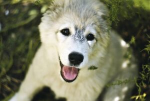 子育て中でも安心してできる脱毛方法は？